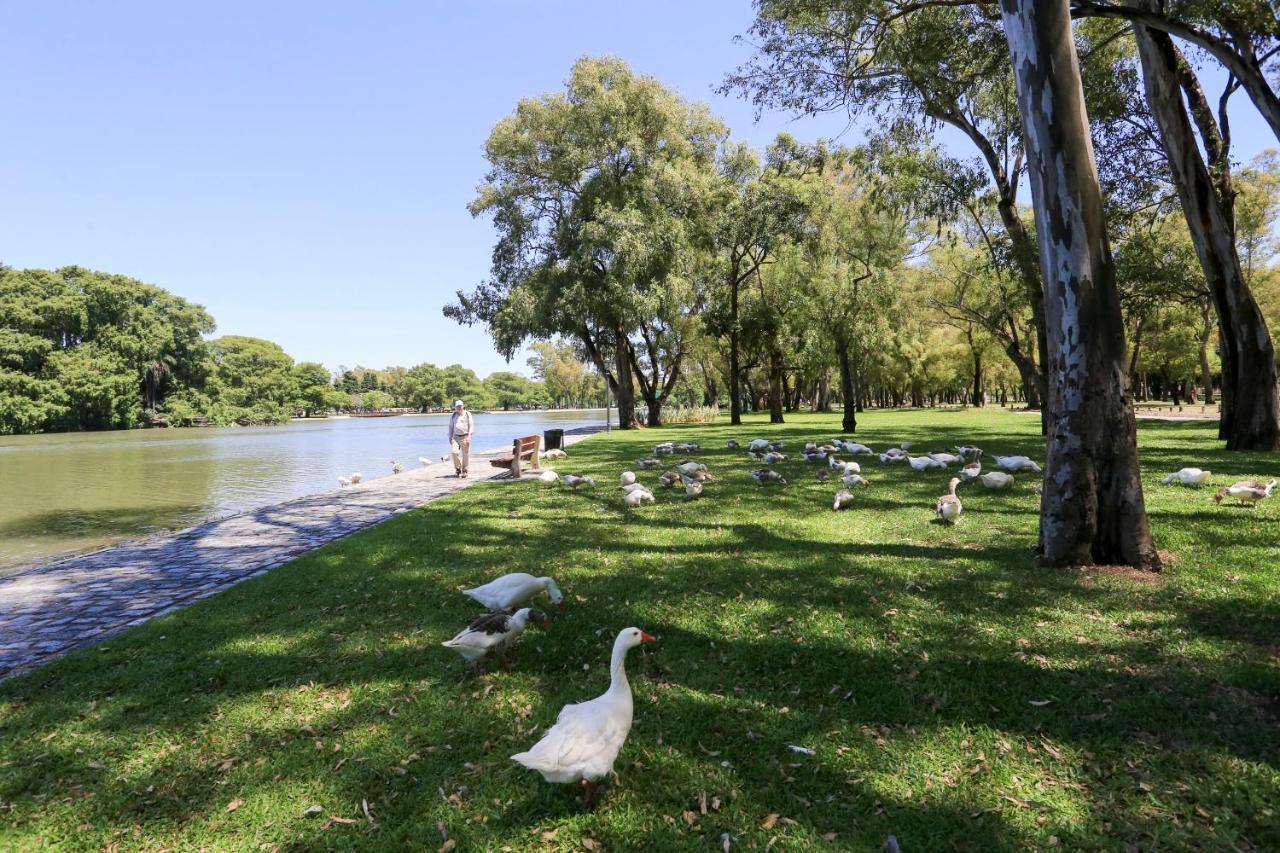 Dahause - Monoambiente En Canitas * Buenos Aires