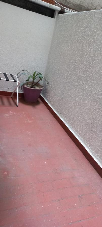 Espacioso Monoambiente En El Corazon De Apartment