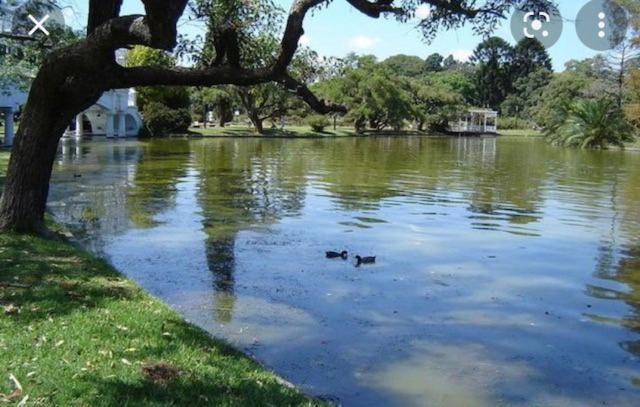 Ayres De Palermo , Botanico!
