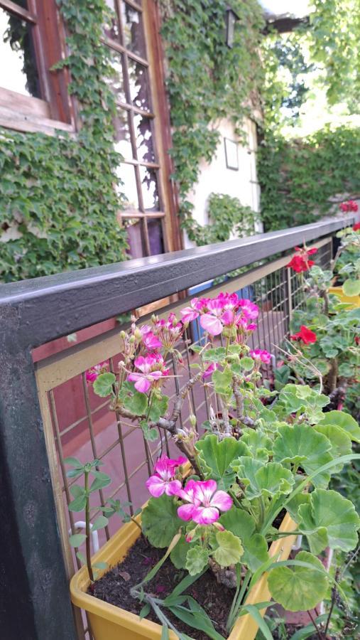 Boutique Casa Rugantino Hotel Buenos Aires