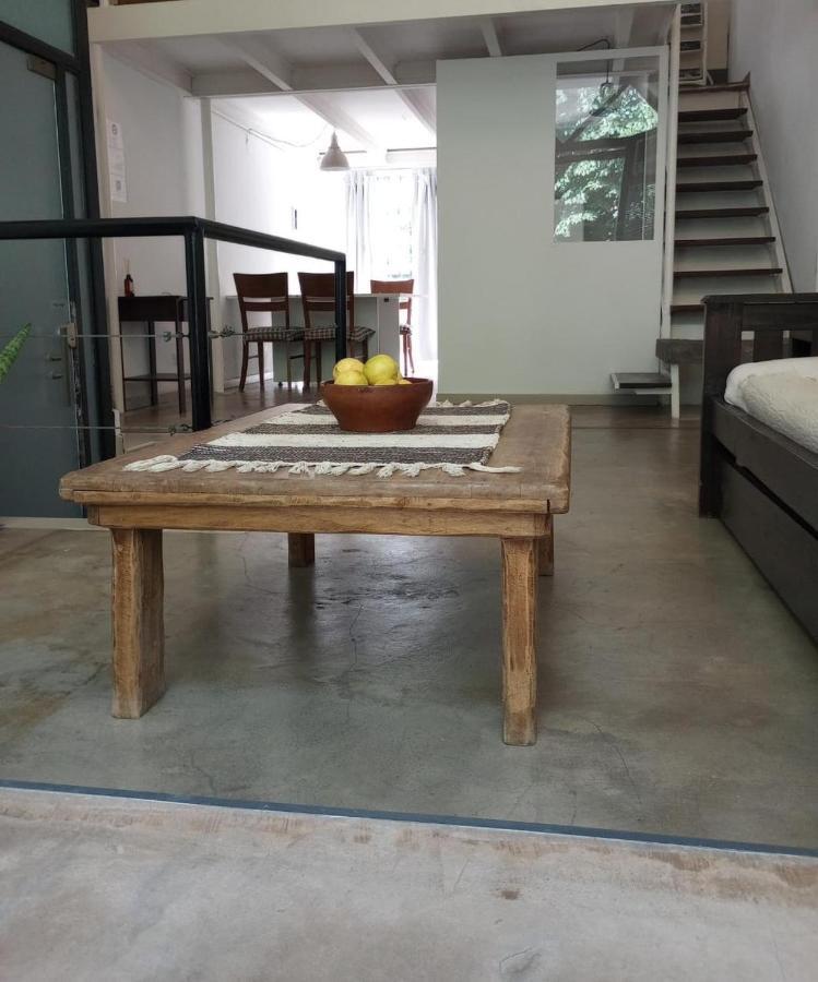 Unique Loft With Wi-fi & Netflix Apartment Buenos Aires