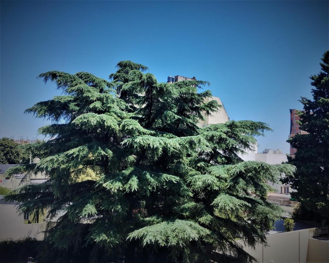 Blue Bird Baires Apartment *