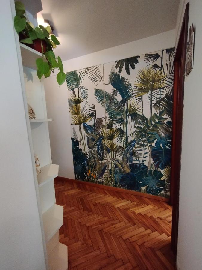 Acogedor Y Comodo En Recoleta Apartment