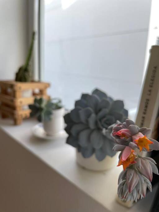 Apartment Wow! Departamento Boutique En Bs As Buenos Aires