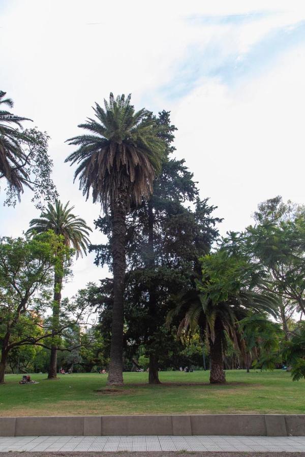 Apartment Excelente Piso En El Corazon De Palermo -5 Pax-