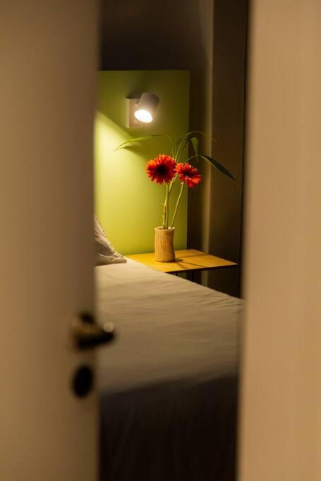 Apartment Feel Coziness In The Overwhelming *