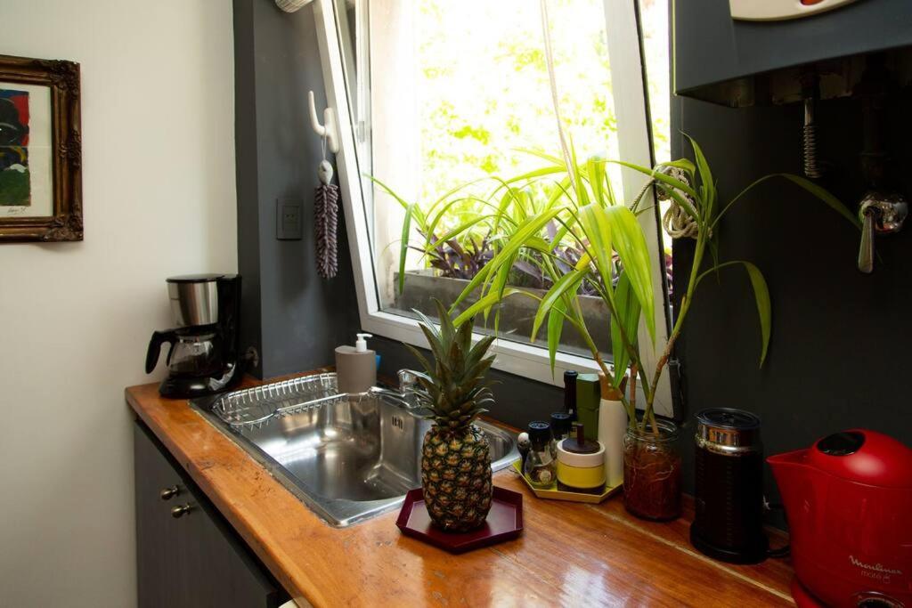 Apartment Feel Coziness In The Overwhelming Buenos Aires