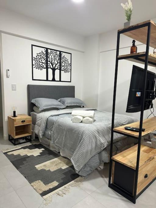 Teodoro Plaza Pileta Gym Apartamento