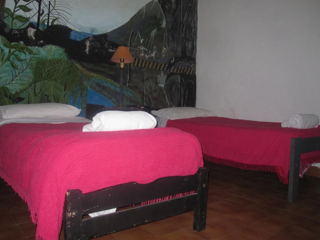Minerva Buenos Aires