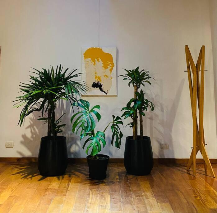 Apartamento Arts Loft, A Estrenar!