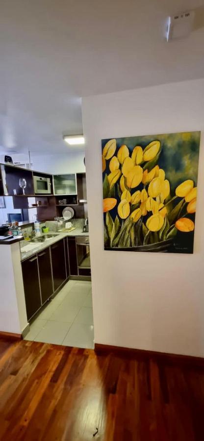 Departamento En Recoleta Apartment *
