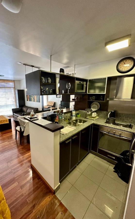 Departamento En Recoleta Apartment *