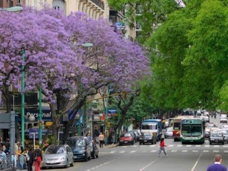 Departamento En Barrio Norte * Ciudad Autónoma de Buenos Aires