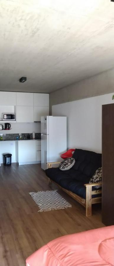 Apartment Monoambiente Totalmente Equipado, A Estrenar. Buenos Aires