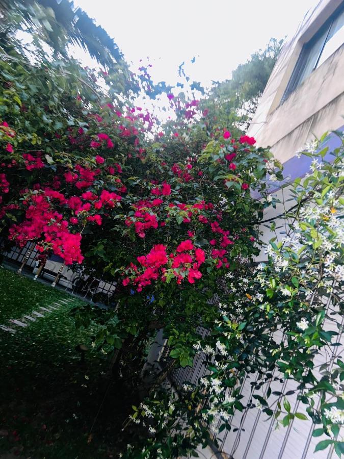 Privatunterkunft Belgrano R Freire 2400 *