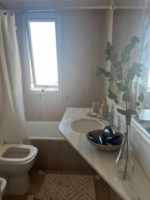 Palermo Vista Espectacular 1Bdr By Cre Apartment