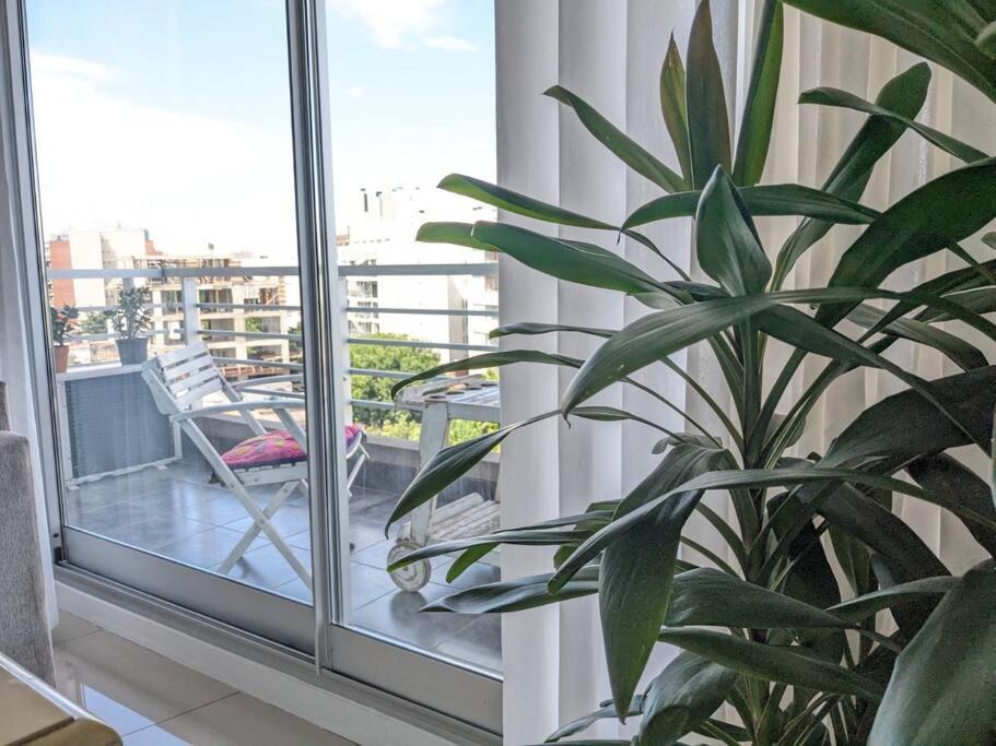 Apartment Palermo Vista Espectacular 1Bdr By Cre Buenos Aires