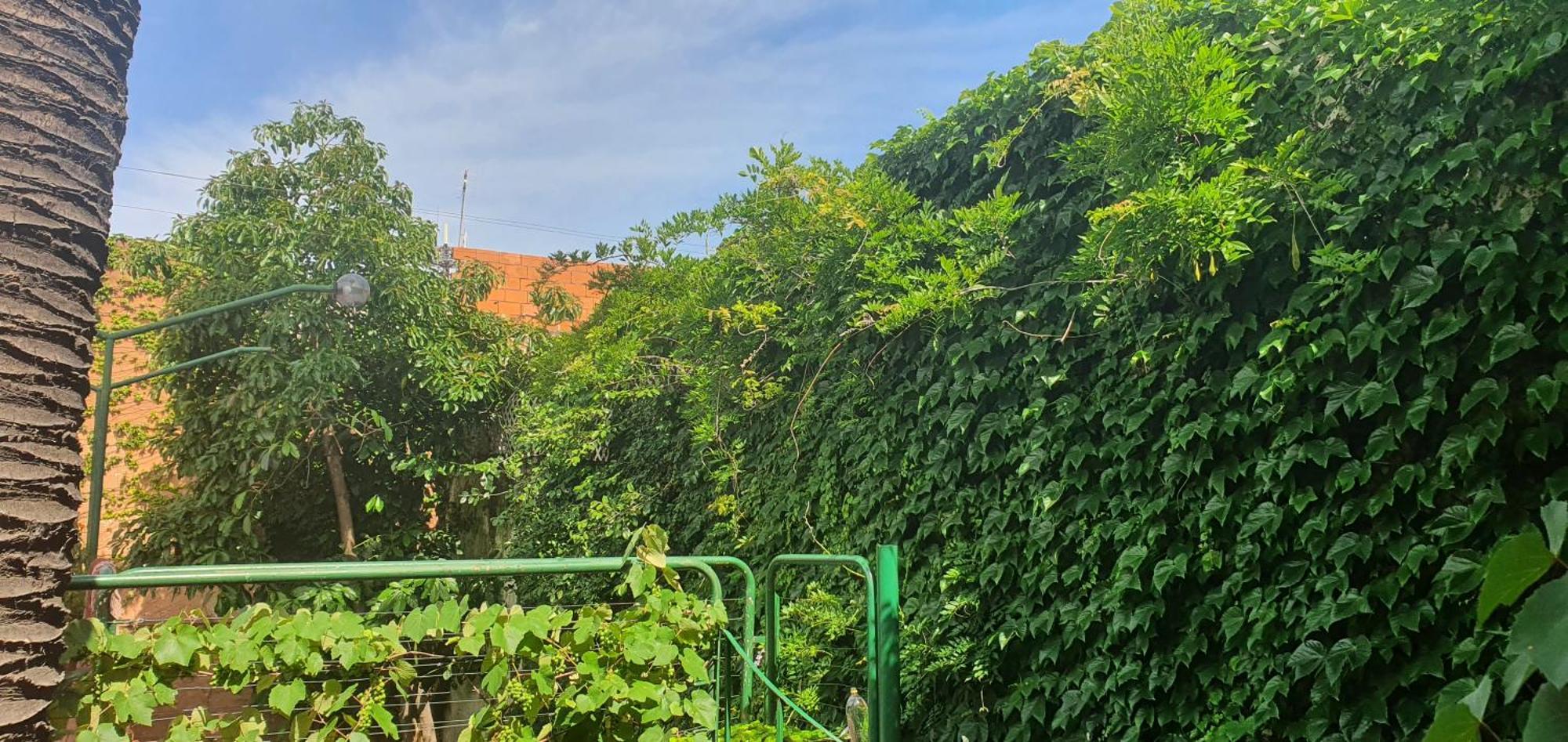 Casa Inmensa Con Pileta 