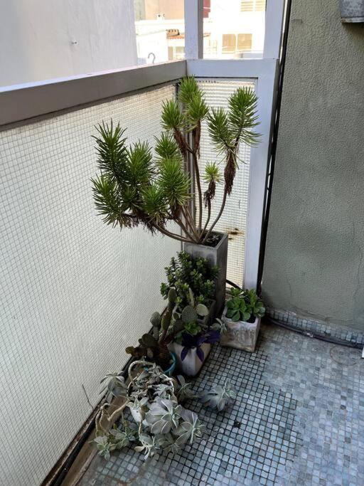 Dos Amb. Zona Alto Palermo - Excelente Ubicacion Apartment *