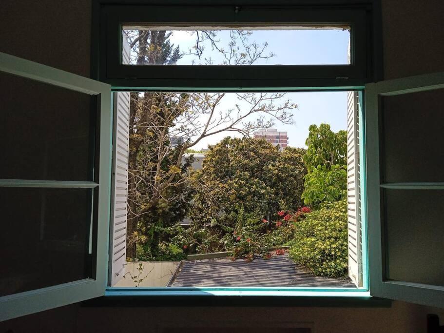 Apartment Comfortable In Colegiales