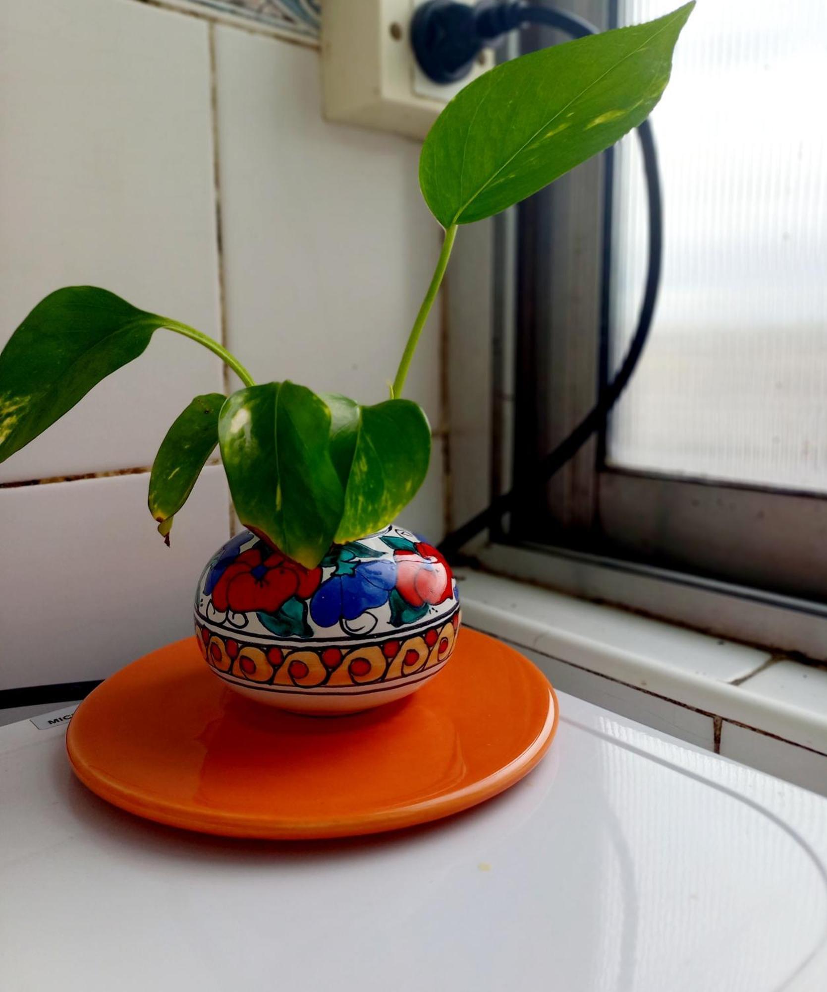 Apartamento Departamento Sobre Calle Corrientes, Obelisco Buenos Aires