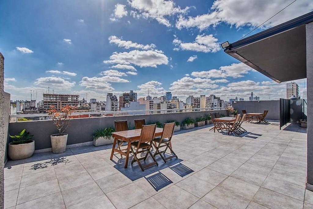 Ficus Trendy * Buenos Aires