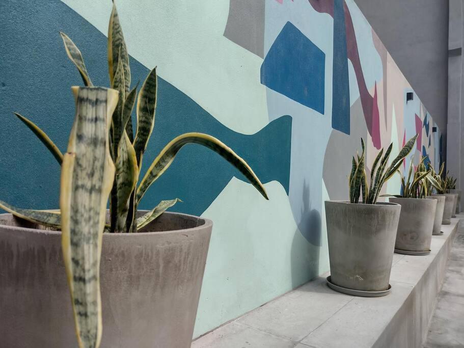 Ficus Trendy Apartment *