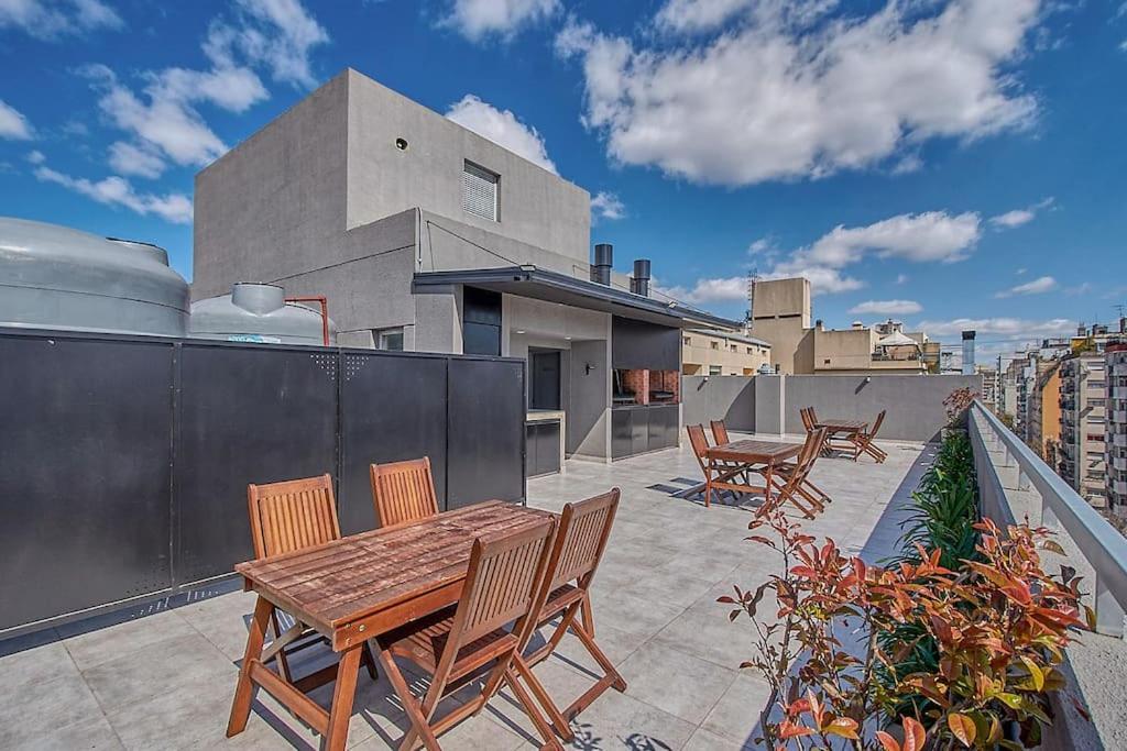 Ficus Trendy * Buenos Aires