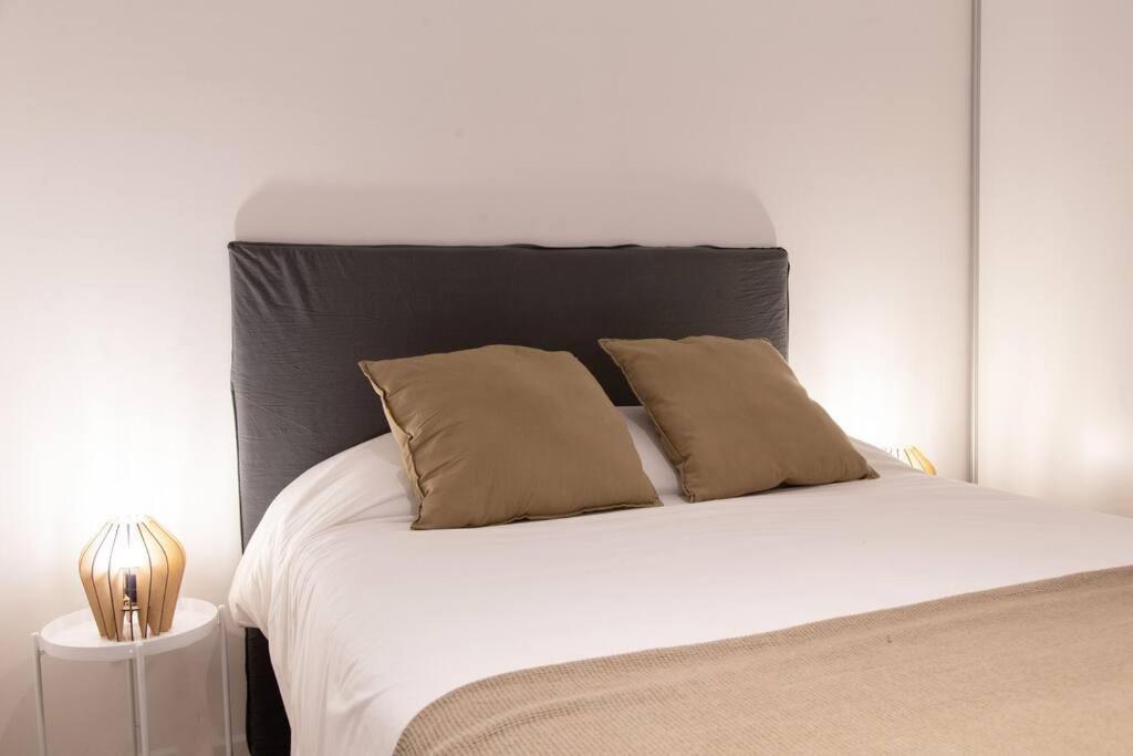 Ficus Trendy * Buenos Aires