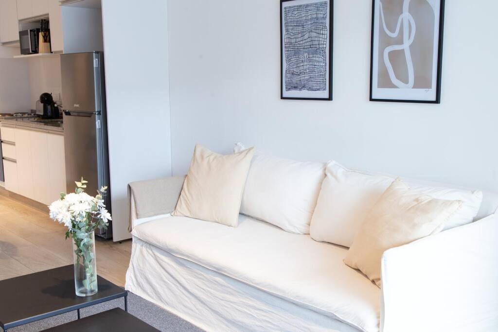 Ficus Trendy