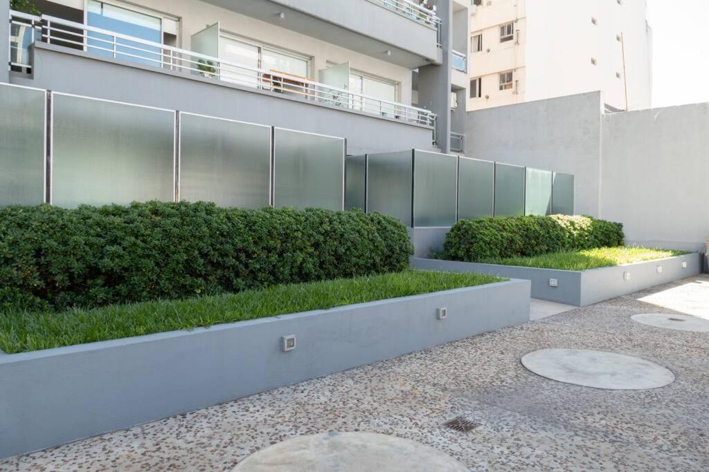 Yarumo Oasis Buenos Aires