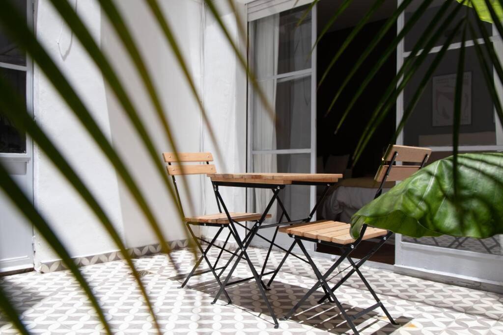 Alocasia Beautiful Apartment