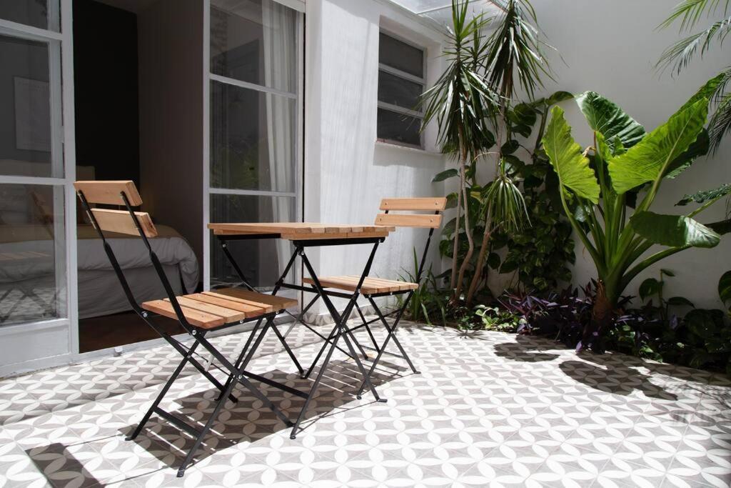 Alocasia Beautiful Apartment *