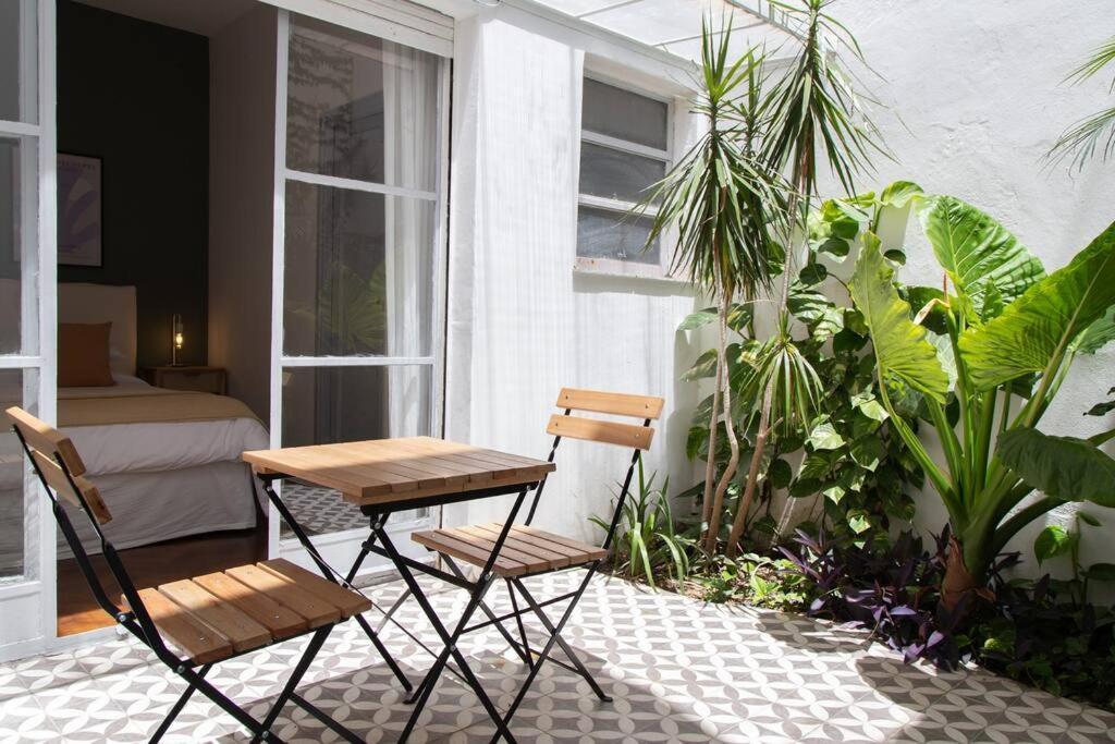 Apartment Alocasia Beautiful *