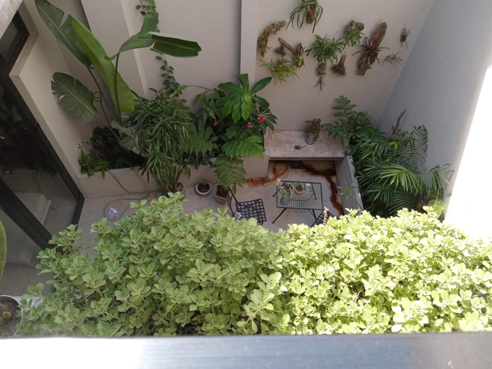Con Bano Uso Exclusivo En Casa Compartida En Primer Piso Por Escalera Homestay *