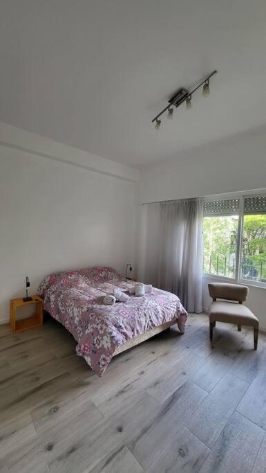 Departamento En Glamourosa Calle, 1 Dormitorio Apartamento Buenos Aires