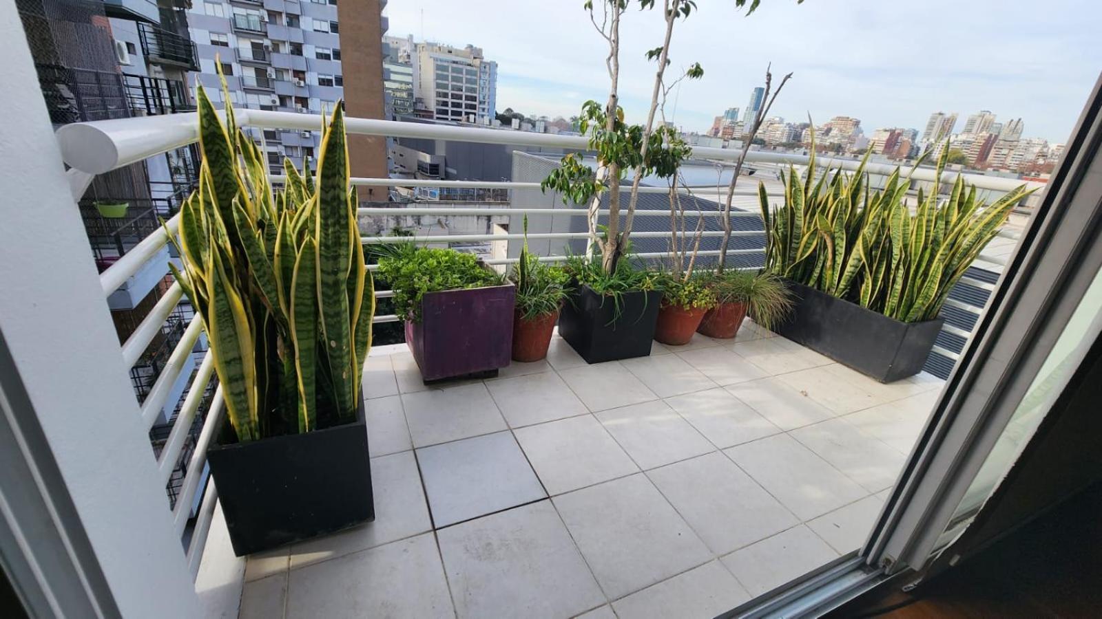 Aparthotel Juncal 3*
