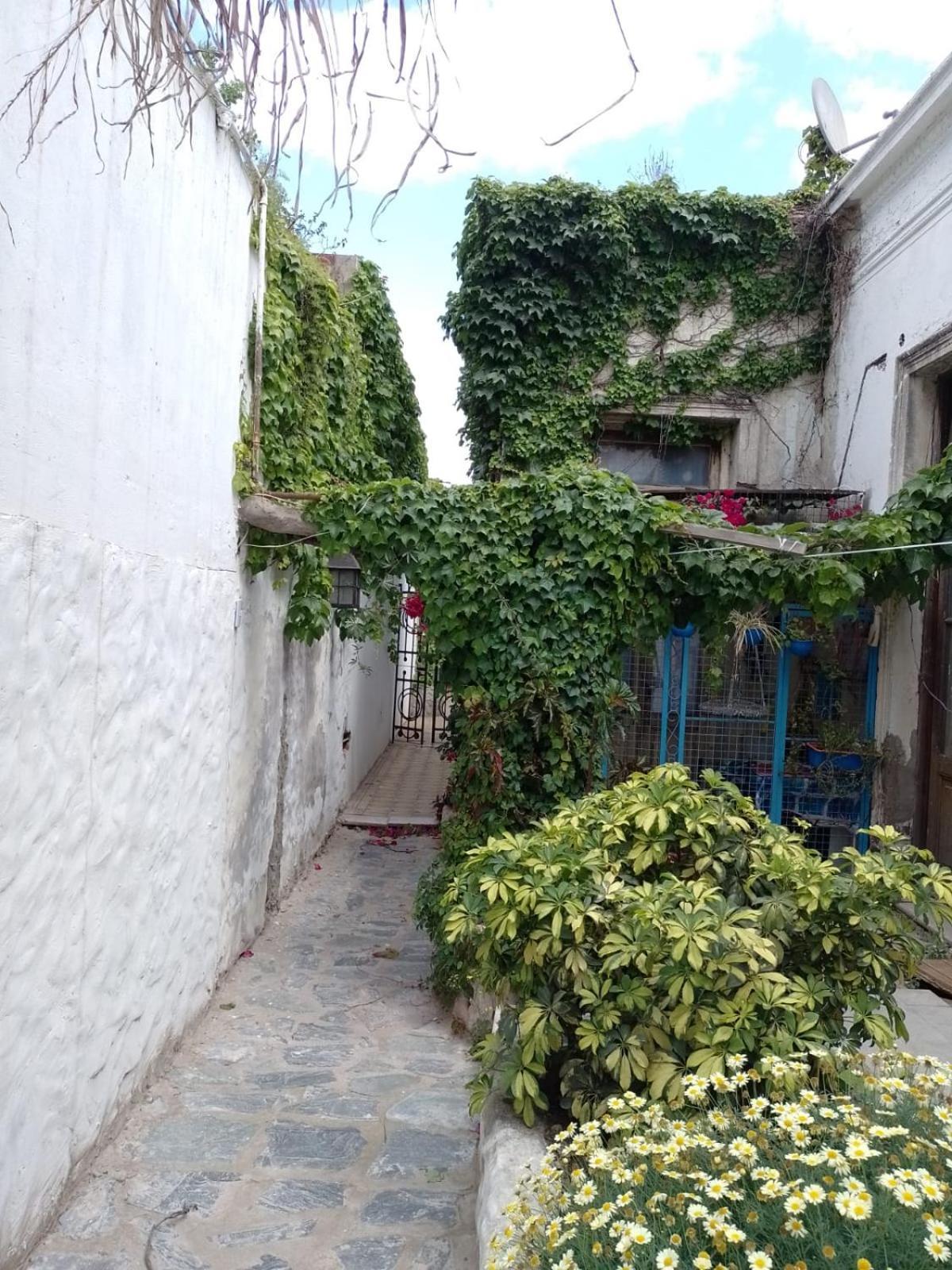 Apartment Azul