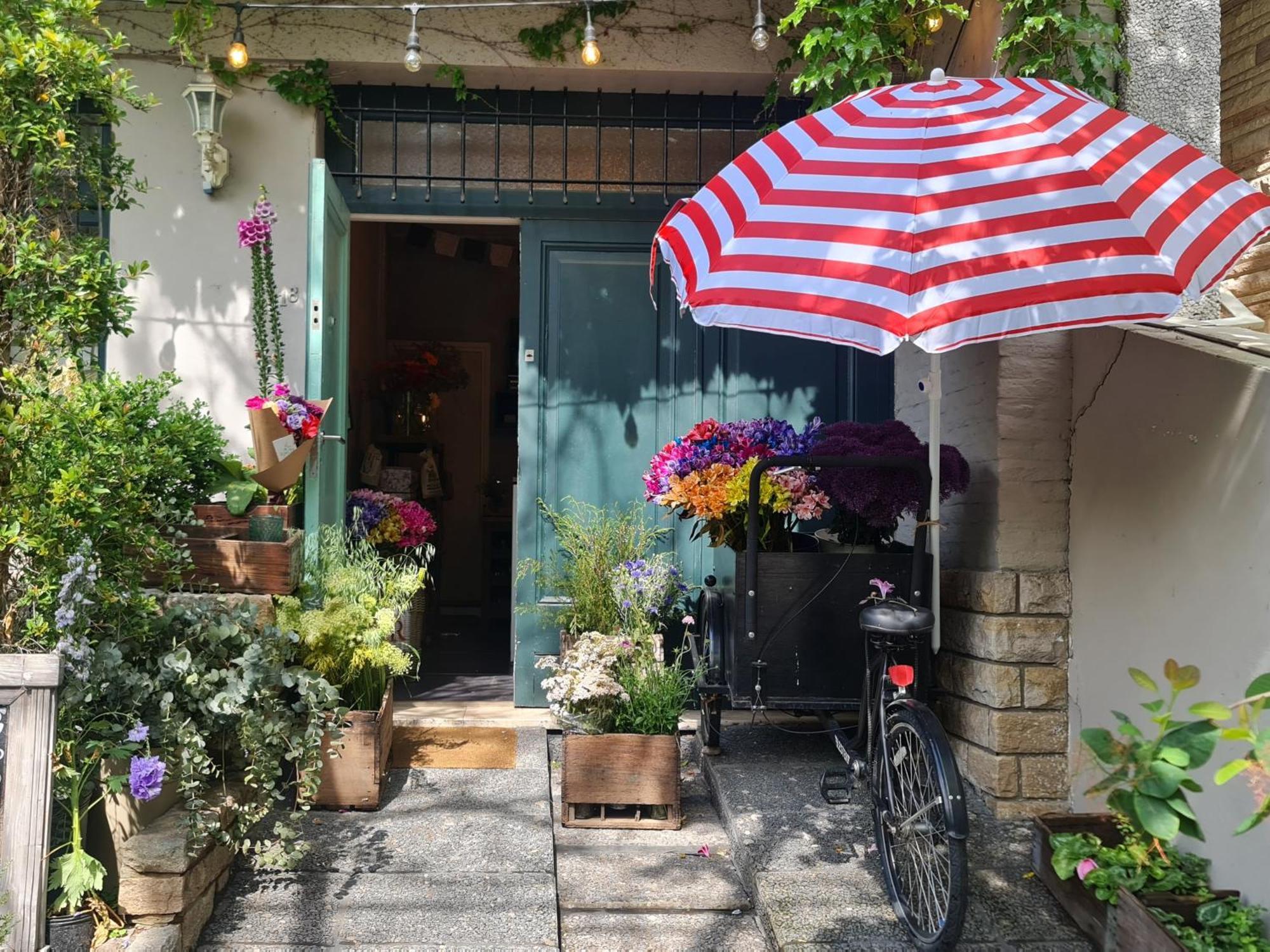 Mi Casa De