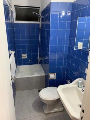Hermoso Departamento En El Corazon De Palermo Apartamento