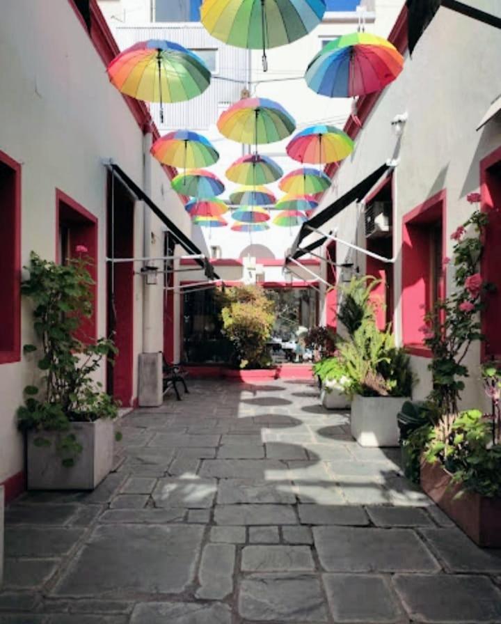 Calido Departamento En San Telmo Buenos Aires