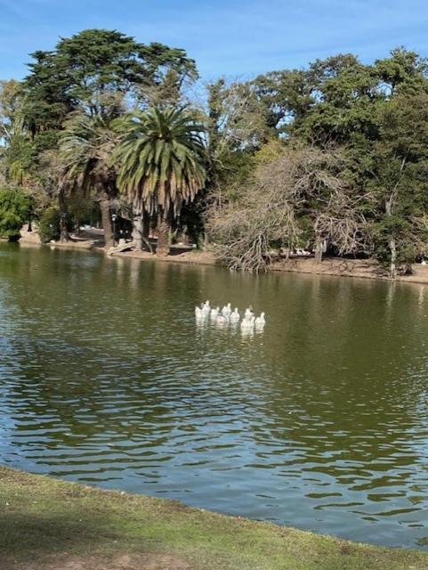 Ayres De Palermo , Botanico! Buenos Aires