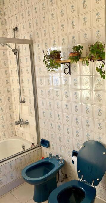 Apartamento Acogedor Con Vista Hermosa *