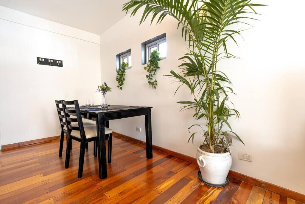 Palermo Chico 2br: Dream Location For Park Lovers Apartment