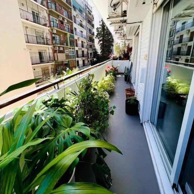 Palermo Chico 2br: Dream Location For Park Lovers Apartment