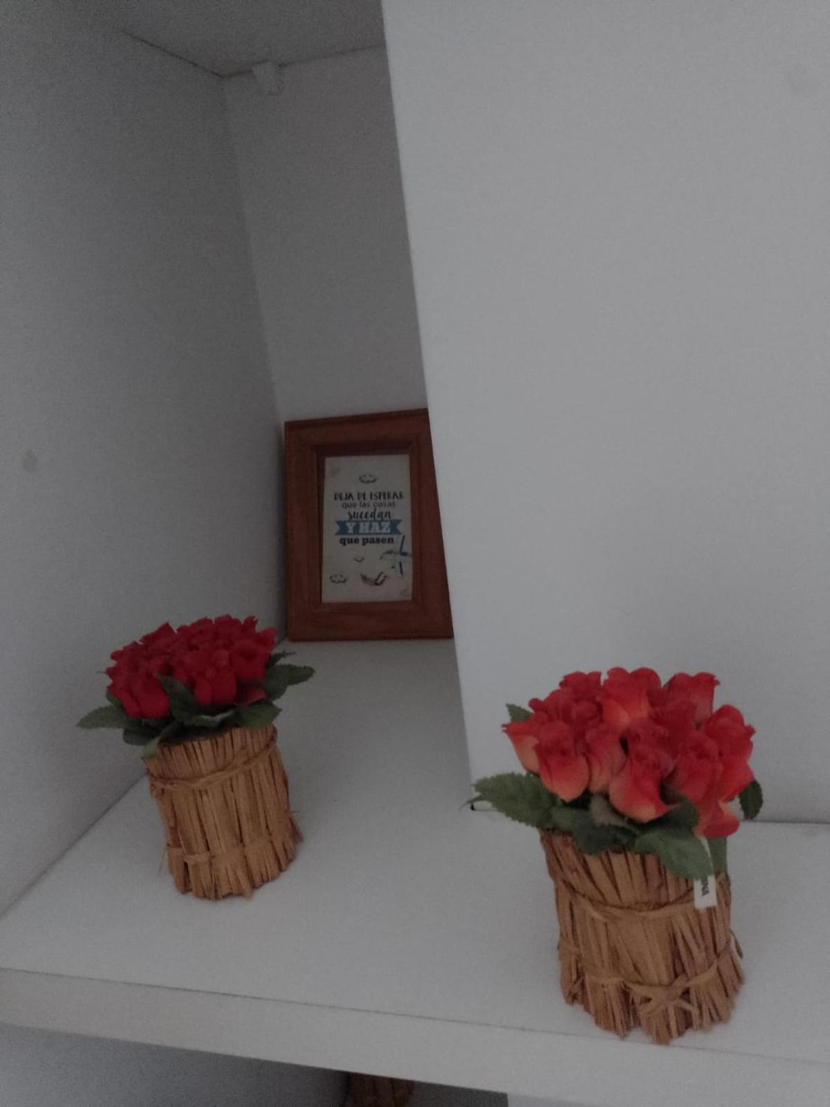 Apartment Relax En Palermo Con Pileta Y Wifi 300mb *