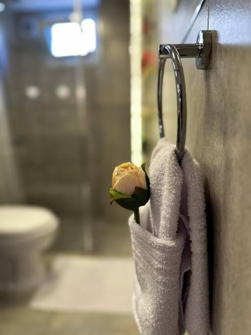 Hermoso Departamento En Belgrano Apartamento