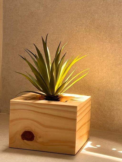 Hermoso Monoambiente, Mucha Luz!