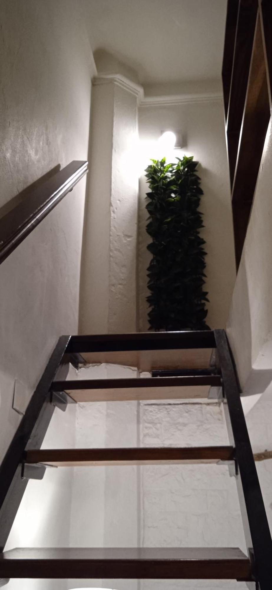 Apartment Centrico Y Espacioso Monoambiente Con Cocina