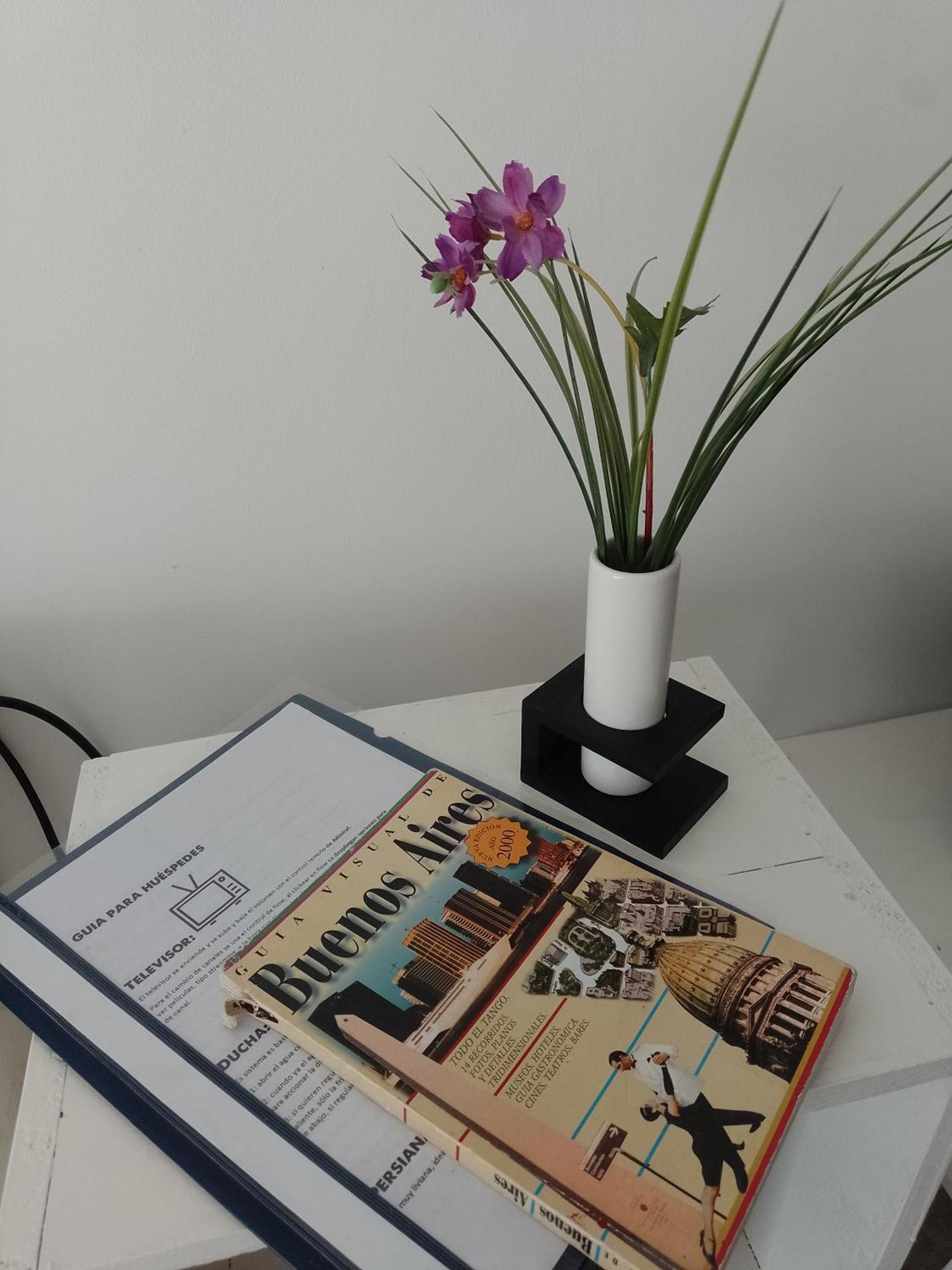 Apartment Relax En Palermo Con Pileta Y Wifi 300mb Buenos Aires